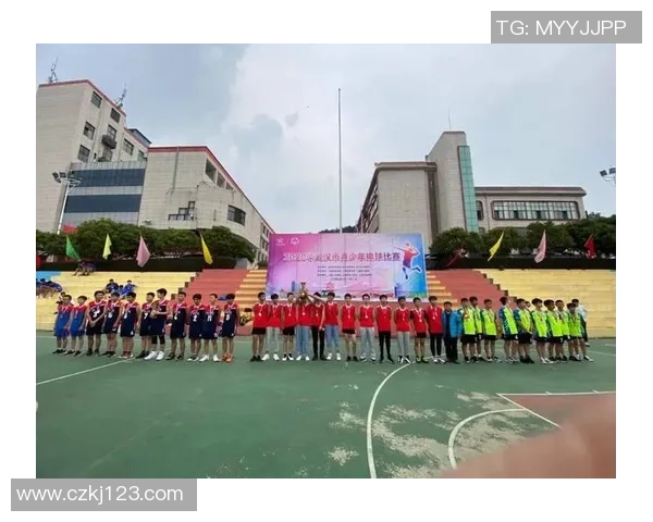 武汉排球队的实力分析与未来发展展望探讨